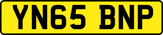 YN65BNP