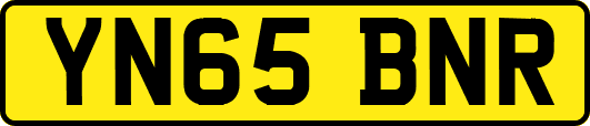 YN65BNR