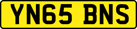 YN65BNS