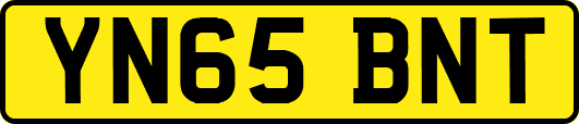 YN65BNT