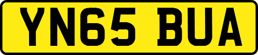 YN65BUA