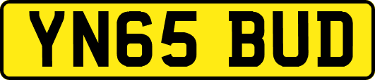 YN65BUD