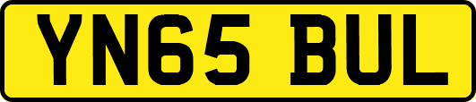 YN65BUL