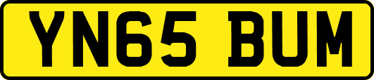 YN65BUM