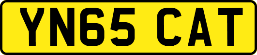 YN65CAT