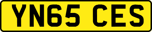 YN65CES