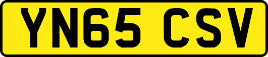 YN65CSV