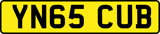 YN65CUB