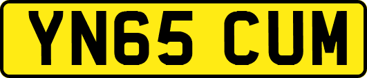 YN65CUM