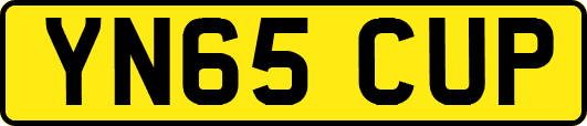 YN65CUP