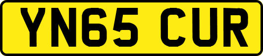 YN65CUR