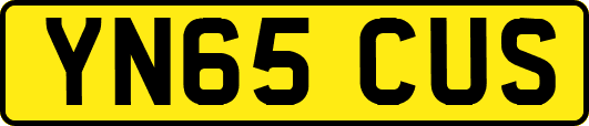 YN65CUS