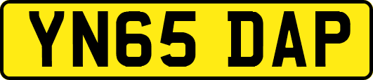 YN65DAP