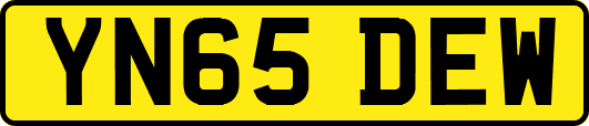 YN65DEW