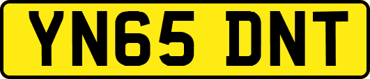 YN65DNT