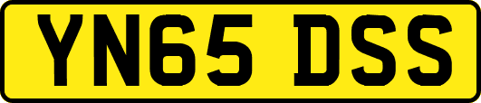 YN65DSS