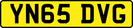 YN65DVG