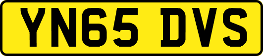 YN65DVS