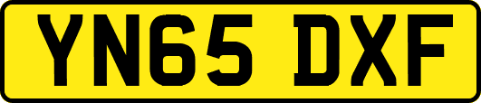 YN65DXF