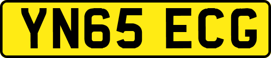 YN65ECG