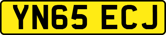 YN65ECJ