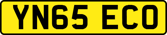 YN65ECO