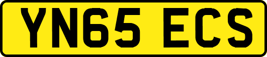 YN65ECS