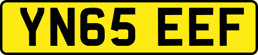 YN65EEF