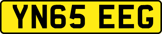 YN65EEG