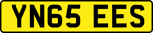 YN65EES