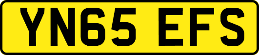 YN65EFS