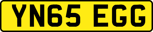 YN65EGG