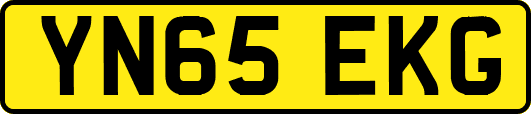 YN65EKG