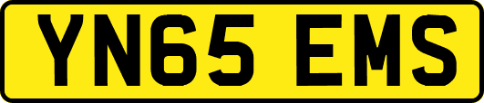 YN65EMS