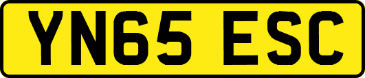 YN65ESC
