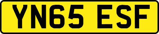 YN65ESF