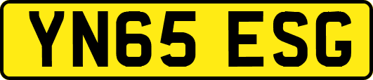 YN65ESG