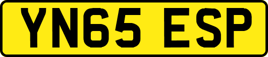 YN65ESP