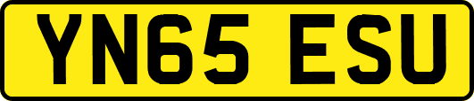 YN65ESU