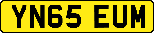 YN65EUM