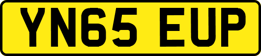 YN65EUP
