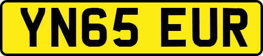 YN65EUR