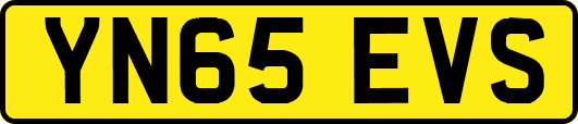 YN65EVS