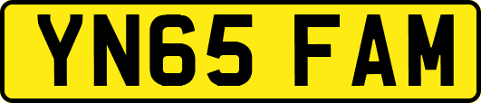 YN65FAM