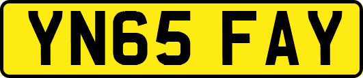 YN65FAY