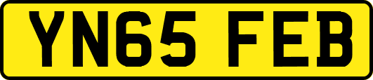 YN65FEB