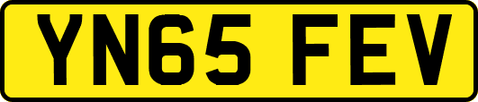 YN65FEV