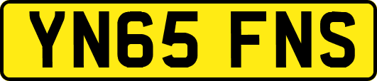 YN65FNS
