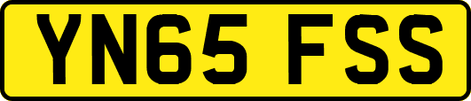 YN65FSS