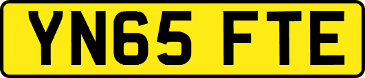 YN65FTE